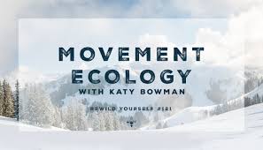 Movement Ecology