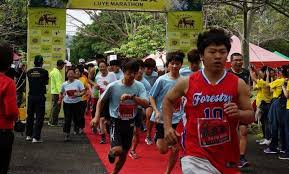 2021台北星光馬拉松 (taipei starry night marathon) 以大佳河濱為起點，開啟2021星光馬拉松的彩燈，跑者們的熱血即是活動繽紛光彩的能量；絢麗的台北夜晚，因為有您~. å–æ¶ˆè¾¦ç† ç¬¬8å±†é¹¿é‡Žé¦¬æ‹‰æ¾ å°æ±è§€å…‰æ—…éŠç¶²