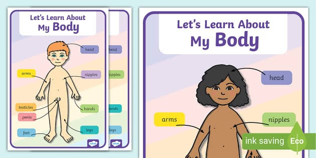 Editable My Body Posters for Kids | Private Body Parts