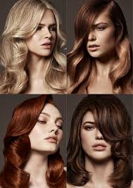 Incappiamo tutte in un parrucchiere che ci schiarirà, ci farà delle meches rosse ed, infine, ci proporrà le ciocche viola che vanno tanto di . Come Scegliere Il Colore Giusto Con Il Colour Menu Parrucchierando