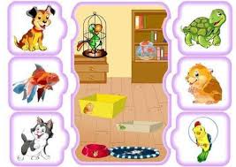 أنشطة تركيز وانتباه ابحث داخل الصورة عن الطيور والحيوانات الموجودة على جانبي الصورة Preschool Activities Childrens Education Animals And Pets