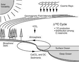 To understand radiocarbon dating, you first have to. Chapter Five Radiocarbon Dating Of Deep Sea Sediments Sciencedirect