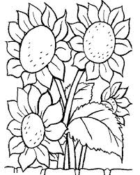 Hundreds of free spring coloring pages that will keep children busy for hours. Awesome Sun Flower Coloring Page Download Print Online Coloring Pages For Free Color Nimbus
