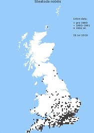 Males are identical to the typical giant spider. False Widow Spiders Mapped Sightings And Incidents On The Rise As Temperatures Rise Uk News Express Co Uk
