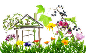 Kitchen garden plants in hindi. Vastu For Trees And Plants Vastu Vastu Shastra Vastu Tips Vastu Consultant Vastu In Hindi Vastu Courses Vastu For Office Vastu For Home