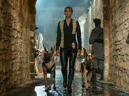 When sofia (halle berry) denies berrada's (jerome flynn) request to keep her dog, he shoots it. John Wick Chapter 3 Parabellum 2019