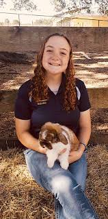 Maybe you would like to learn more about one of these? Local Teen Helps Fund Passion For Agriculture By Breeding Selling Rabbits Four Corners News Sun Midfloridanewspapers Com