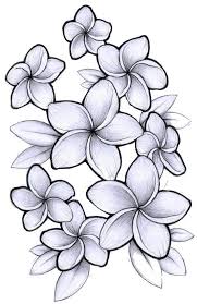 Plumeria flower drawing and sketch. Plumeria Flower Drawing Google Search Flower Drawing Hawaiian Flower Drawing Plumeria Tattoo