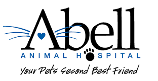 Rabies shots for your cat and dog are required by law in all states. Veterinarians Serving The Pets Of Norwood Park Park Ridge Jefferson Park Edison Park