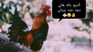 We did not find results for: Ø§Ø¨ÙˆØ°ÙŠØ§Øª Ù…Ø¶Ø­ÙƒØ© Ø¹Ø±Ø§Ù‚ÙŠØ© ØªØ­Ø´ÙŠØ´ Ø´Ø¹Ø± Ø¹Ø±Ø§Ù‚ÙŠ ØªØ­Ø´ÙŠØ´ Ù…Ø¶Ø­Ùƒ Ø§Ø¨ÙˆØ°ÙŠØ§Øª ØªØ­Ø´ÙŠØ´ÙŠÙ‡ We Provide Version 8 4 The Latest Version That Has Been Optimized For Different Devices Erza Darmawan