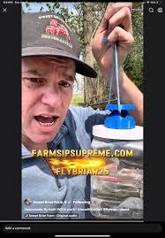 Effective outdoor fly traps for central Texas?