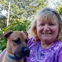 Cindy Lou Marsh Obituary