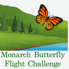Colorful butterfly isolated on a white background. The Monarch Butterfly Flight Challenge Home Facebook