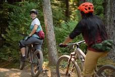 Trailside Bike Repair Workshop