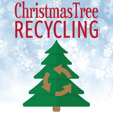 Opt for one of walmart's free shipping opportunities. Ridgefield Christmas Tree Pick Up Order Form