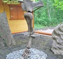 China Personalizada Dinosaur Leg Bone Fossil Factory - Fósil ...