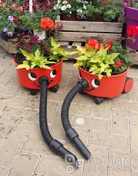 Henry Brothers Plant Inspiration Mid Ulster Garden Centre Perfect Plants Garden Center Garden Inspiration