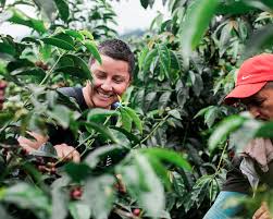 While i work on that, i am baking fresh cheesecakes and crumbs out of dublin roasters, located in downtown frederick. Coffee Shop In Frederick Md Dublin Roasters