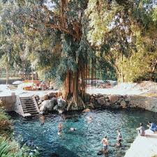 Objek wisata alam air terjun seweru. Tiket Wisata Ngumbul Kolam Renang Pemandian Umbul Pule Banyuwangi Tiket Masuk Tempat Wisata Budaya Dan Hotel Di Banyuwangi N64rommariotennis