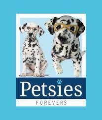 Stuffed Animal Of Your Pet Pet Pillows Pet Products Petsies Pets Animals Custom Stuffed Animal