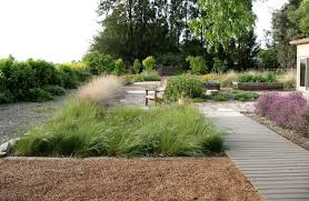 Planting The New California Garden Part 3 Bernadette Balics Vegetable Garden Raised Beds Pollinator Garden Pollinator Garden Design