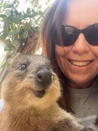 Dandenong Motorcycle Club (DMCC) & Wonthaggi MX track