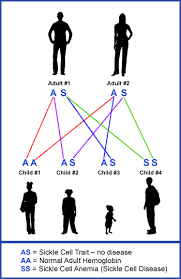 Pin On Sickle Cell Disease Information For Parents