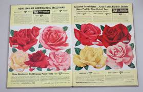 Image result for Pink 1961 Montgomery Ward