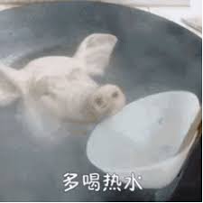 多喝热水 斗图表情包 金馆长表情库 真正的斗图网站 doutula com funny