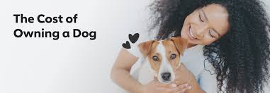 We did not find results for: The Cost Of Owning A Dog In The Uk 2020 The Dog People By Rover Com
