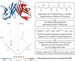 Dna and rna have a double helix structure. Investigation Of Protein Protein Interactions And Hot Spot Region Between Pd 1 And Pd L1 By Fragment Molecular Orbital Method Scientific Reports