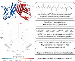 A mutation is a change in a dna sequence brought about either by a mistake made when the dna is certain types of mutations are silent and have no effect, but others affect protein production in a variety short answers : Investigation Of Protein Protein Interactions And Hot Spot Region Between Pd 1 And Pd L1 By Fragment Molecular Orbital Method Scientific Reports