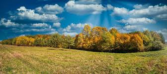 There are 11 trips to choose from, with the tours varying in length from days days up to days. Hungary Lights Sky Autumn Nature Forest Wood Green Light Natural Pxfuel