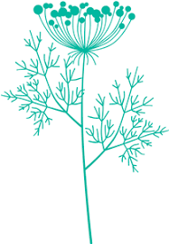 Free Free Queen Anne&#039;s Lace Svg 652 SVG PNG EPS DXF File