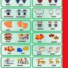 Irregular Plural Nouns Grammar Rules English Grammars Linguistics Literatures