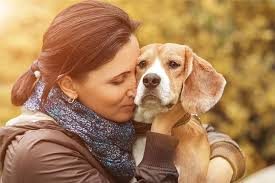 They do not form tumors. What To Do If Your Dog Has Cancer American Kennel Club