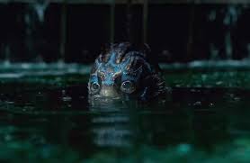 La forma dell'acqua, mercoledì 30 giugno 2021 alle 21.25 andrà in onda su rai1 uno dei capolavori di guillermo del toro, la pellicola ha vinto 4 oscar. La Forma Dell Acqua Di Alexandre Desplat Inside Music