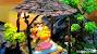 Homemade Ganpati Decoration Ideas