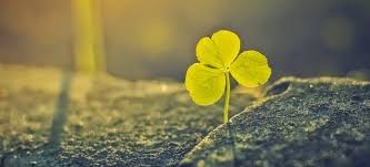 Kitty's Pitara: Poem : Ray Of Hope