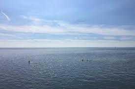 Die bei ebbe trocken fallenden flächen bezeichnet man als wattflächen. Weltnaturerbe Wattenmeer Buesum Live De
