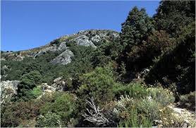 Epingle Par Cecile Breuiller Sur Imaginaire De La Corse Imaginaire
