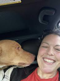 Lanier Buddy and Pablo are safe with Mission Rescue Alliance