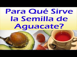 Para Que Sirve La Semilla De Aguacate Poderosos Beneficios Del Te De Semilla De Aguacate Youtube Semilla De Aguacate Aguacate Remedios