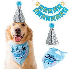 Check out our french poodle party selection for the very best in unique or custom, handmade pieces from our shops. Dog Birthday Party Supplies Plan The Ultimate Celebration For Your Pup