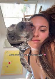 Huge Great Dane Cuddle