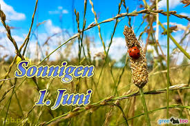 Äntligen sommar och juni har börjat med fint väder. 1 Juni Bilder 1gb Pics