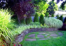 Design Planting Techniques Google Search Emerald Green Arborvitae Backyard Landscaping Arborvitae