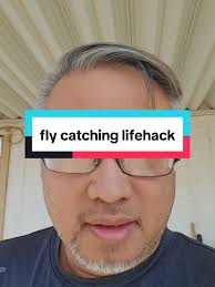 40 Years and I Just Learned This Fly Catcher