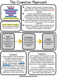 Psychology Approaches The Cognitive Approach Revision Notes In 2020 Teaching Psychology Psychology Studies Psychology Notes