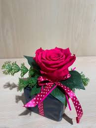 Rose stabilizzate - composizione rosa stabilizzata fuxia | Bottausci Fiori  Magione Perugia Umbria